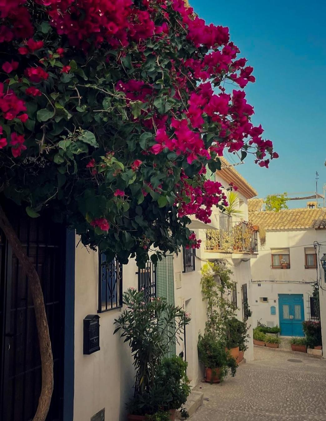 Bellaguarda * Altea